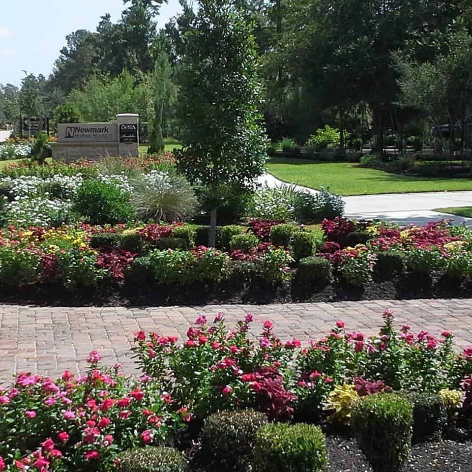 spring Backyard landscaping work in the Houston, Texas area