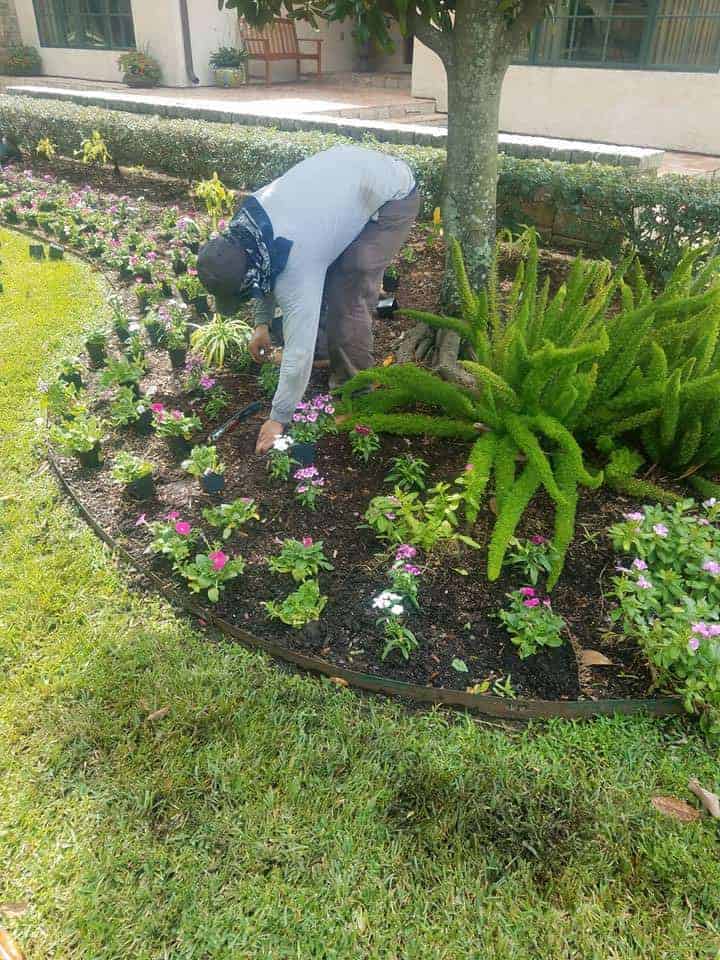 Backyard landscaping work in the Houston, Texas area