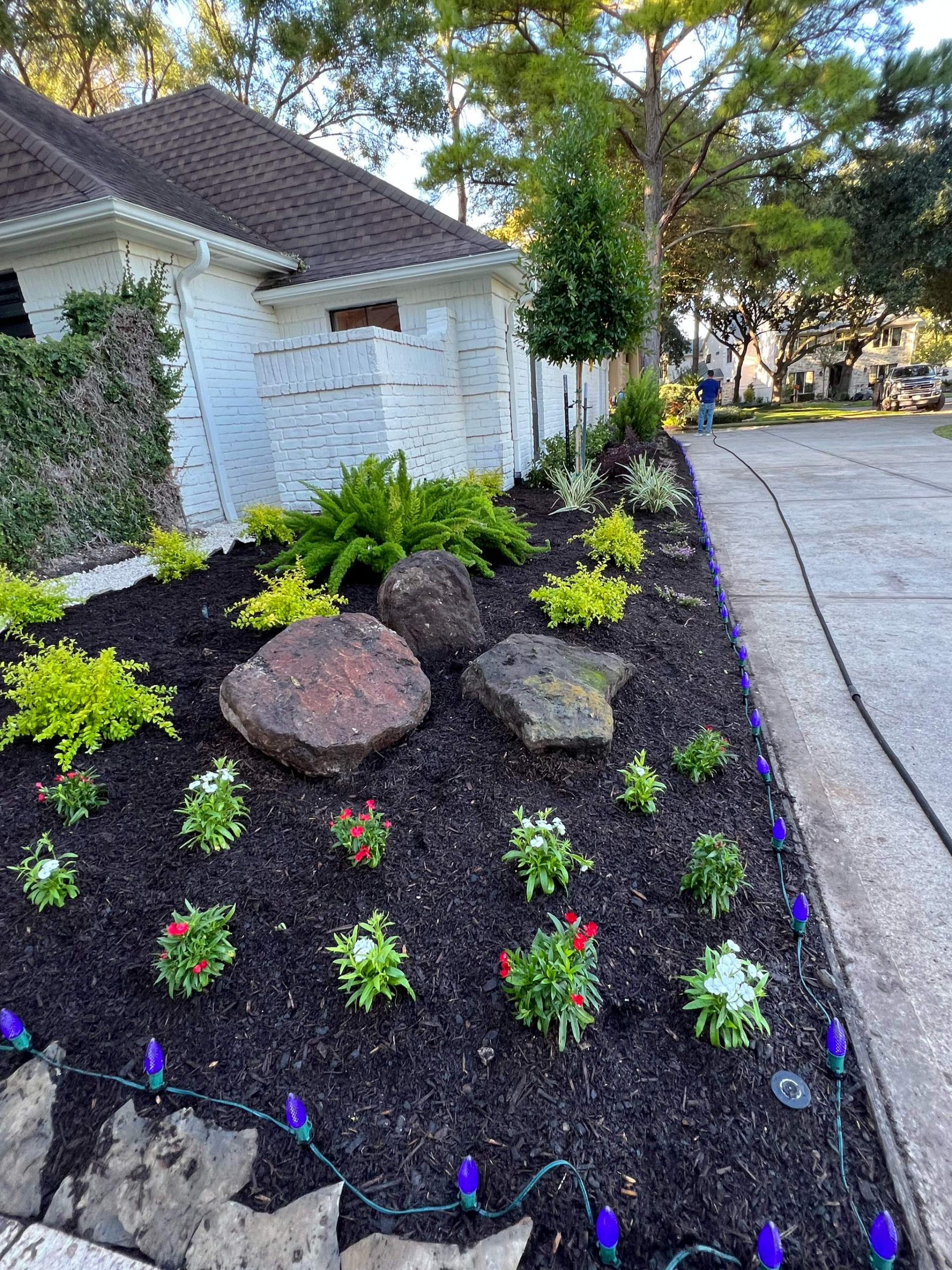 Walkway landscape design with beautiful boulders and low maintenance plants, in Houston, Texas.